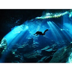 ヨドバシ.com - オリンパス OLYMPUS M.ZUIKO DIGITAL ED 8mm F1.8