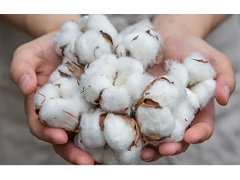 ヨドバシ.com - Vermicular バーミキュラ オーガニックコットン ヒート