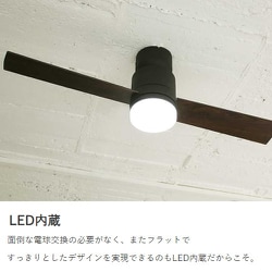 ヨドバシ.com - Life on Products ライフオンプロダクツ Javalo Elf