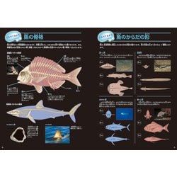 ヨドバシ.com - 魚 新版 (学研の図鑑LIVE〈4〉) [図鑑] 通販【全品無料