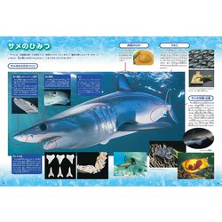 ヨドバシ.com - 魚 新版 (学研の図鑑LIVE〈4〉) [図鑑] 通販【全品無料