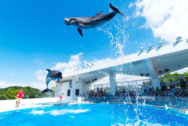九十九島水族館海きらら｜割引チケット・クーポンならアソビュー！