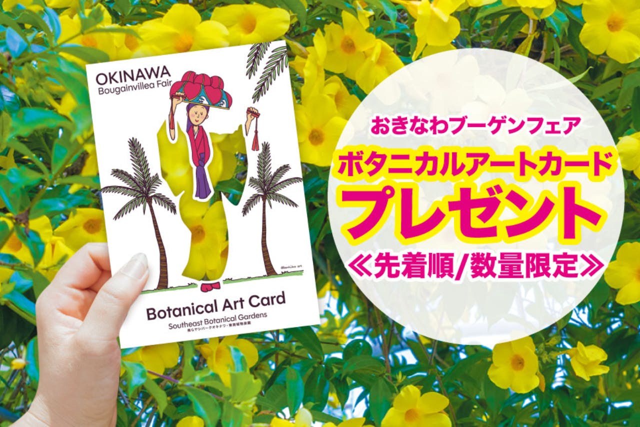 入園券＋せかいの昆虫展＋あにま～る入場券付きセットプラン｜アソビュー！