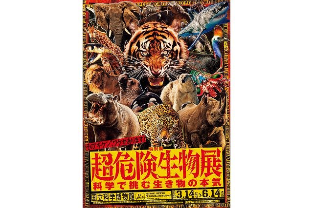 デュエル・マスターズコラボカードスリーブセット券｜アソビュー！