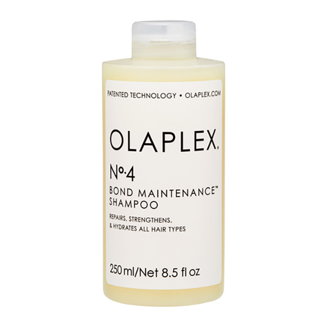 ケラスターゼ ブロンドアブソリュ BL バン ルミエール 1000ml(サロン