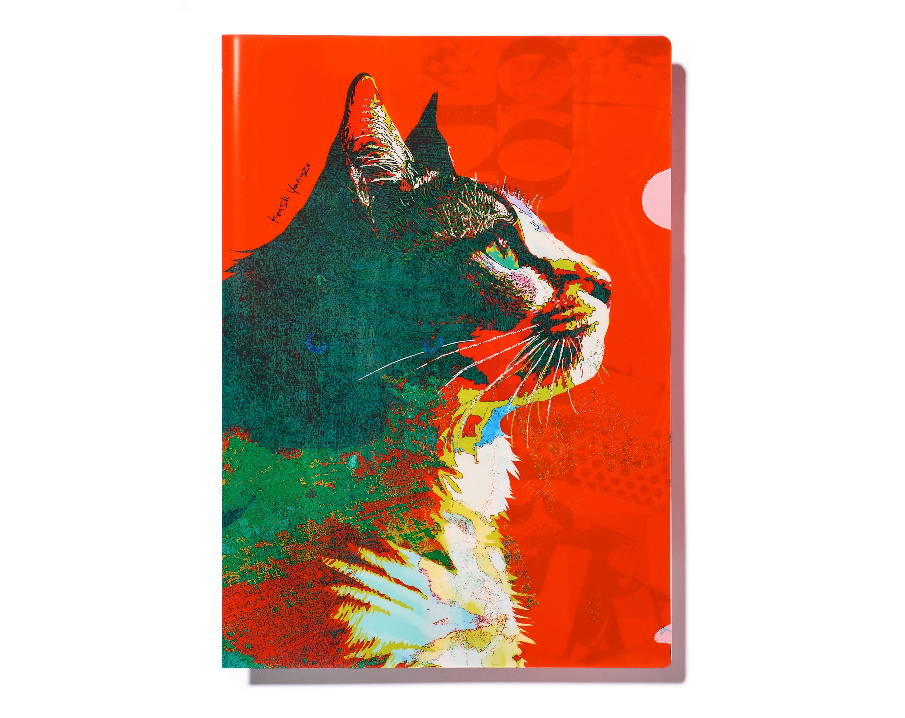 楽天ブックス: 【楽天ブックス限定先着特典】LOST CORNER (映像盤