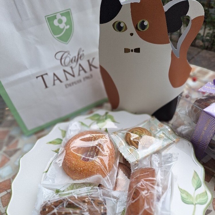 まりこさんの投稿/ノコスアレタージュ ｜ ことりっぷ