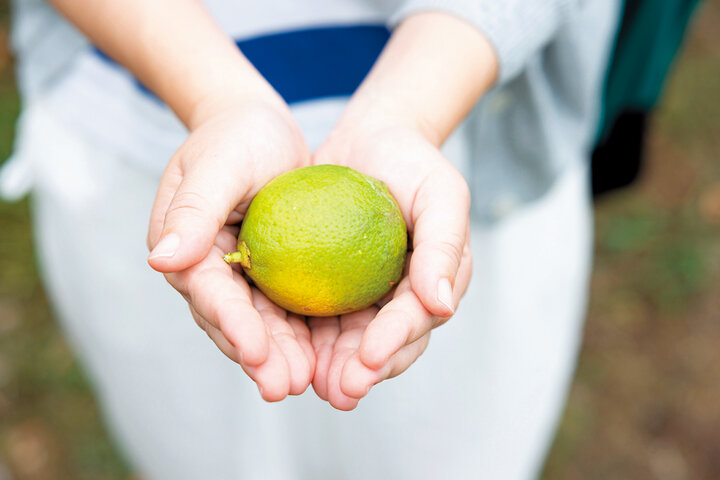 瀬戸内しまなみ海道・大三島の柑橘が香るアロマコスメ「シトラス