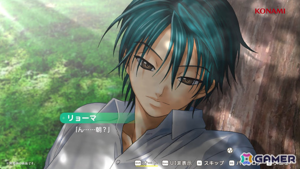 最終値下げ済】テニスの王子様 DS乙女ゲーム まとめ売り(ドキサバ