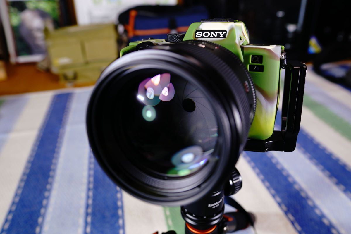 FE 85mm F1.4 GM とPlanar T＊ 85mm F1.4 ZAとの比較。 | GANREF