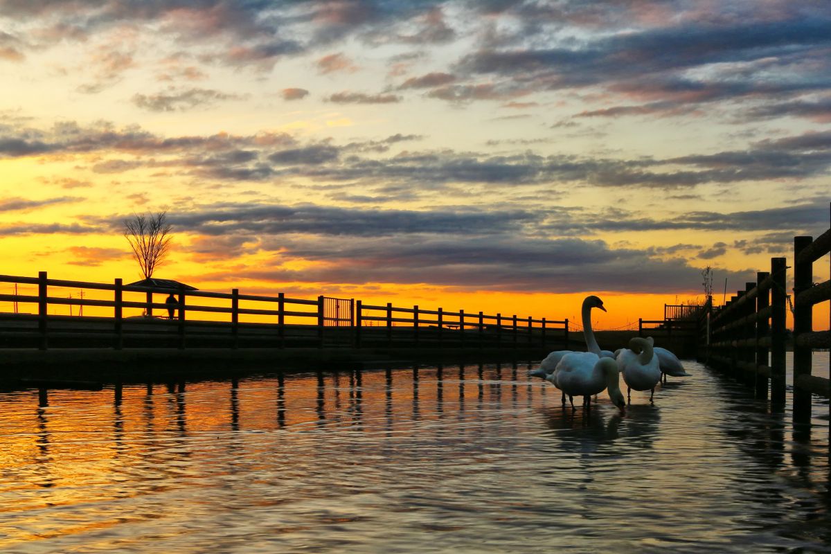 EF-S24mm F2.8 STMで撮影された写真 | 写真検索 | GANREF