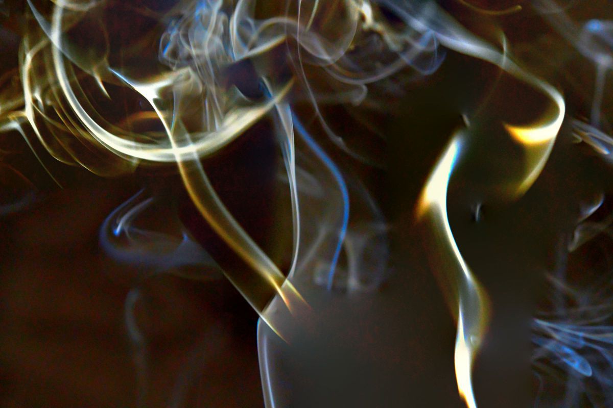 AF-S Micro NIKKOR 60mm f/2.8G EDで撮影された写真 | 写真検索 | GANREF