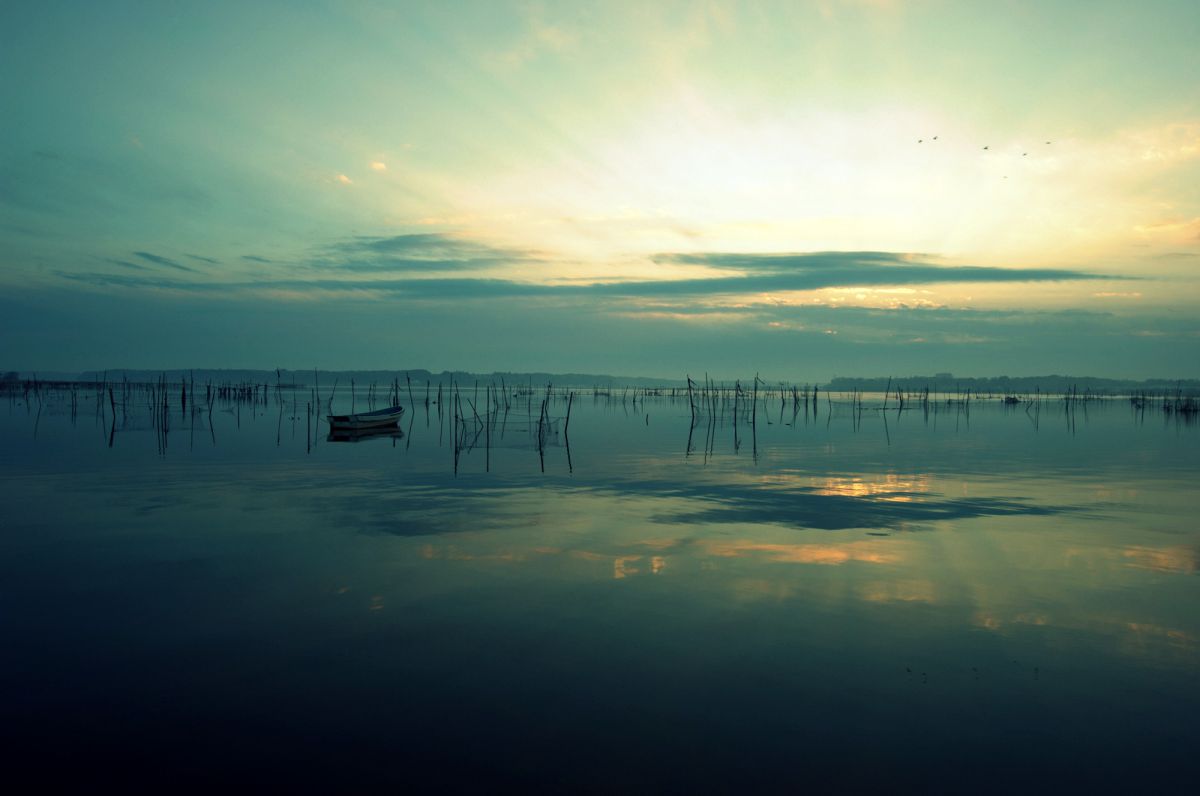 Ai AF Zoom-Nikkor 18-35mm f/3.5-4.5D IF-EDで撮影された写真 | 写真