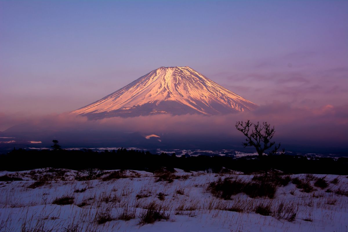 AF-S DX NIKKOR 18-200mm f/3.5-5.6G ED VR IIで撮影された写真 | 写真