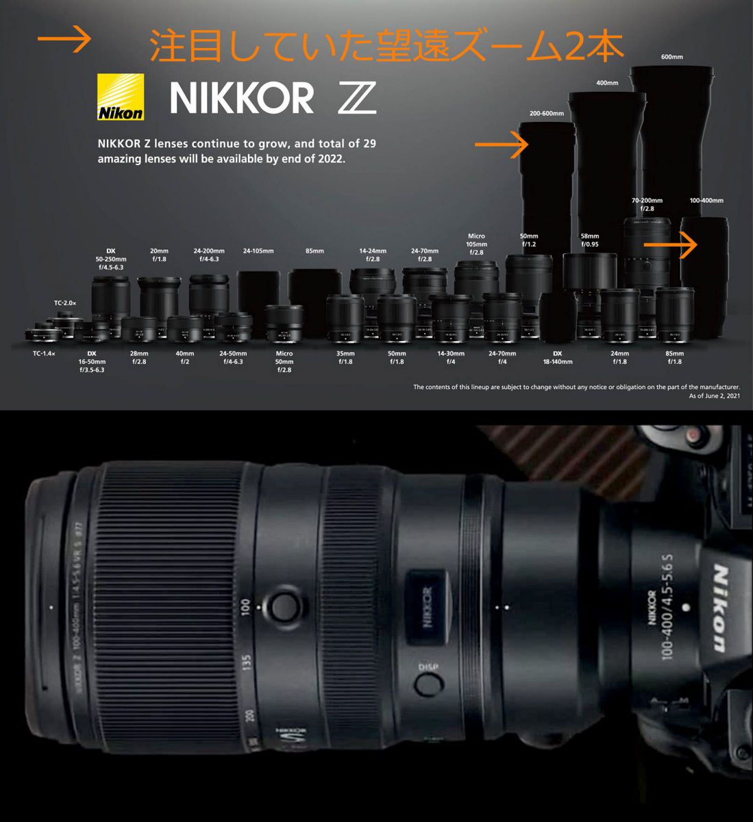 私に使いこなせるか？NikonZマウント100-400mm | GANREF