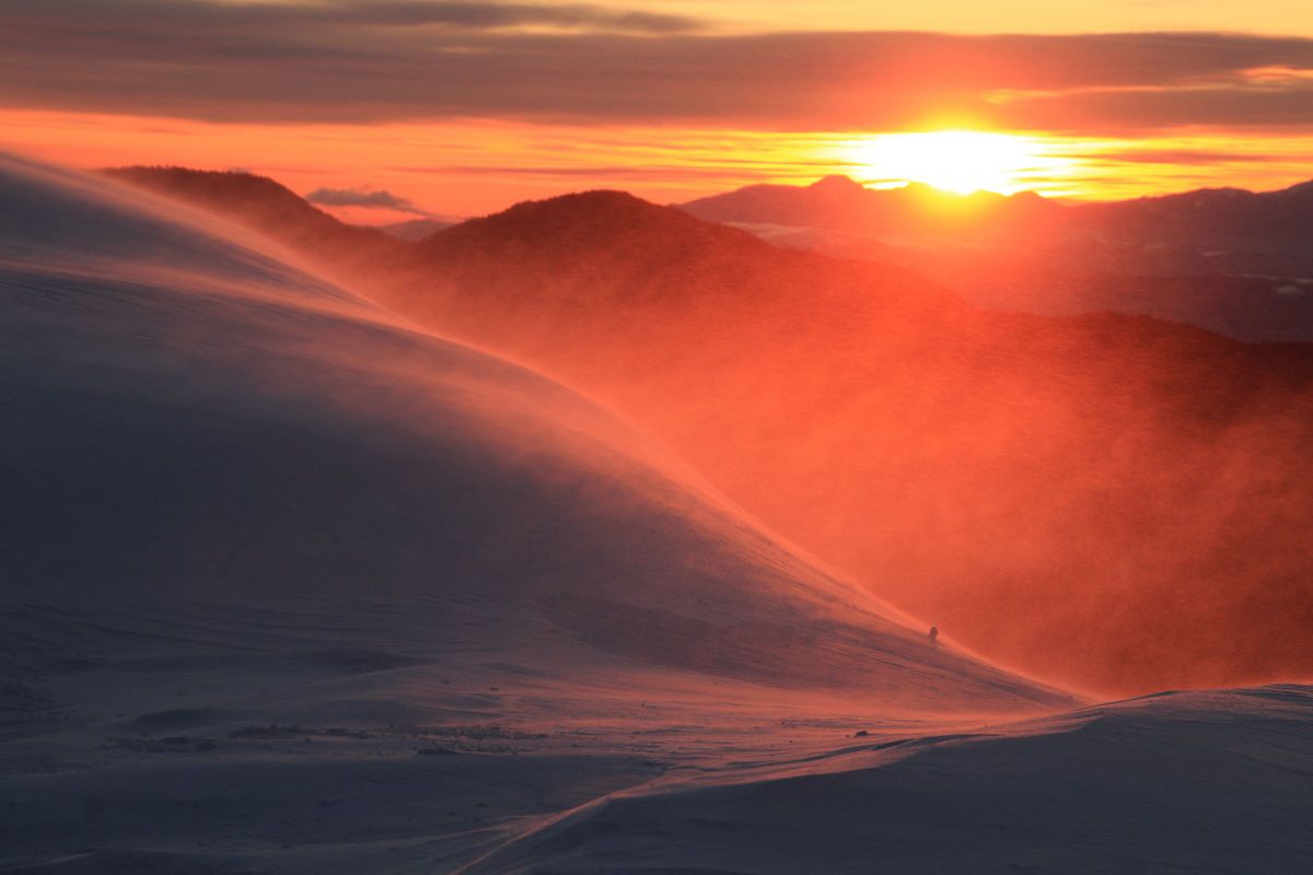 EOS Kiss X9で撮影された写真 | 写真検索 | GANREF