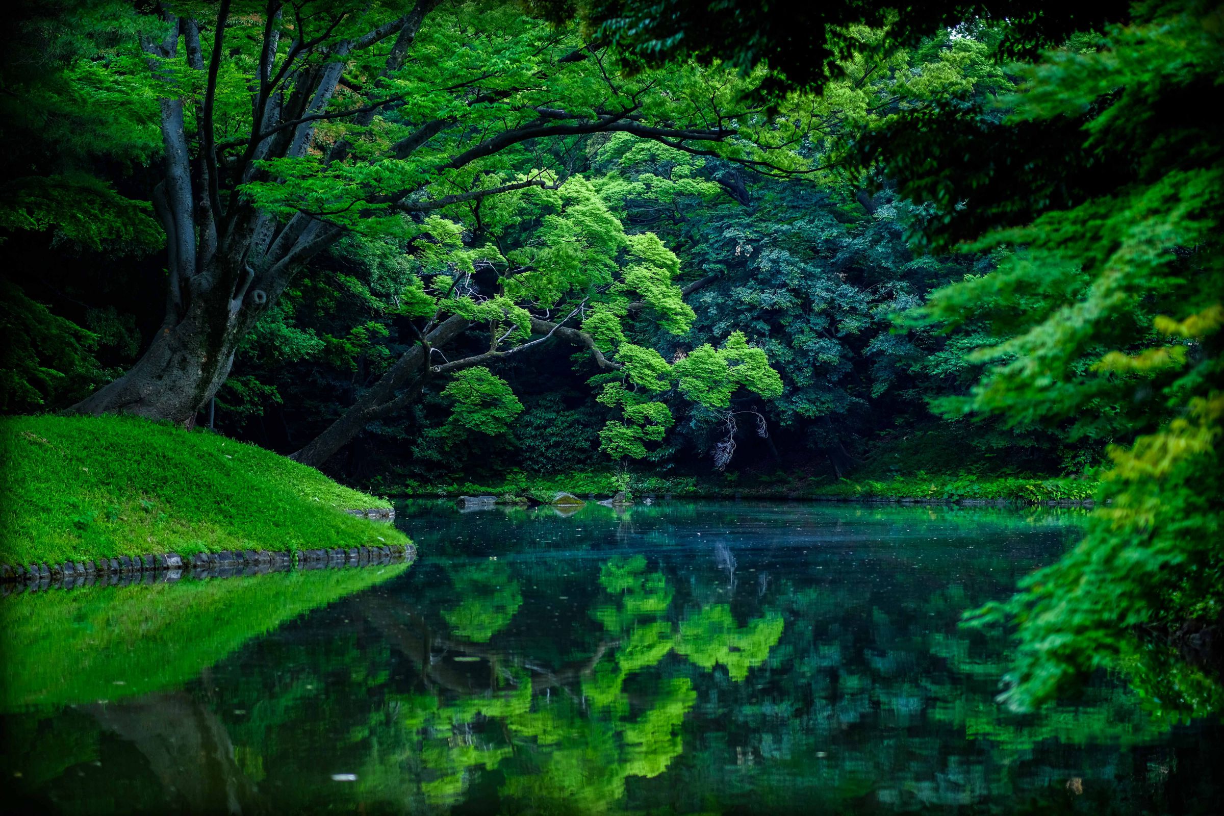 みどりの景色 | GANREF