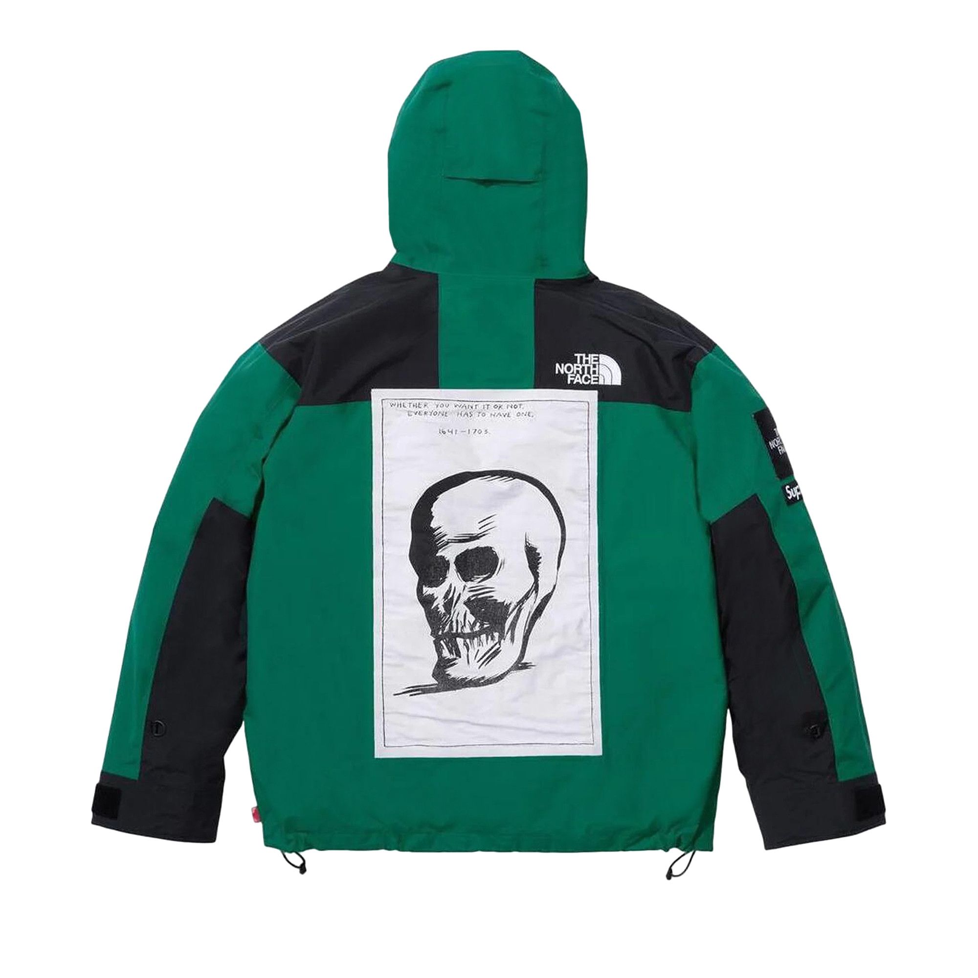 Buy Supreme x The North Face Mountain Jacket 'Green' - FW24J5