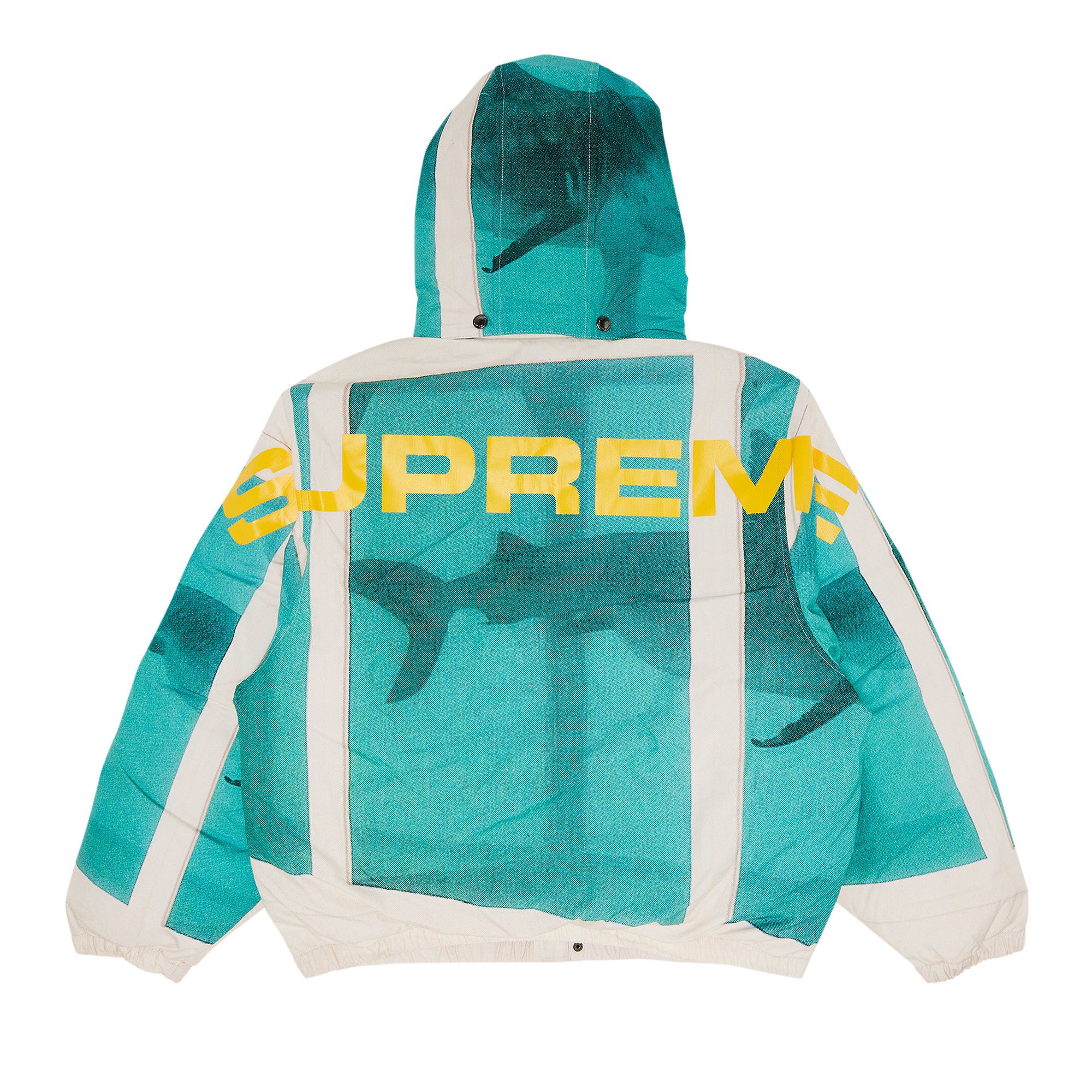 Buy Supreme x Damien Hirst Down Puffer Jacket 'White' - SS25J19
