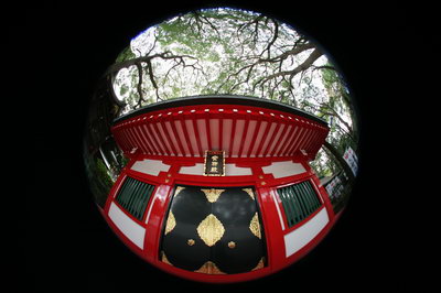 魚の視覚で世界を切り取る――デジタル対応魚眼レンズ5本撮りくらべ