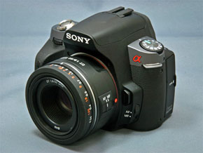 α380」第3回――お手ごろ単焦点レンズ「DT 50mm F1.8 SAM」を試す：長期