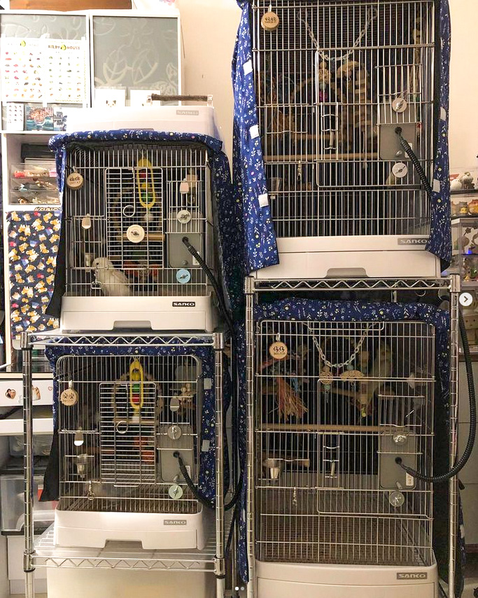 るん太鳥かごアクリルケースアクリル保温カバー防音カバー るん太