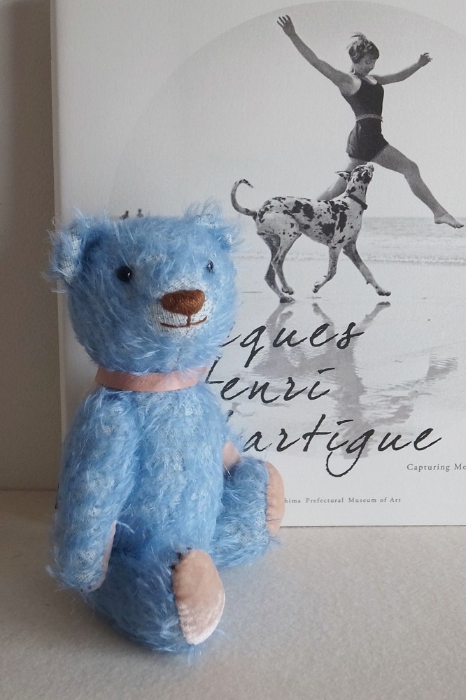 242 - Fairy Saddle フェアリーサドル