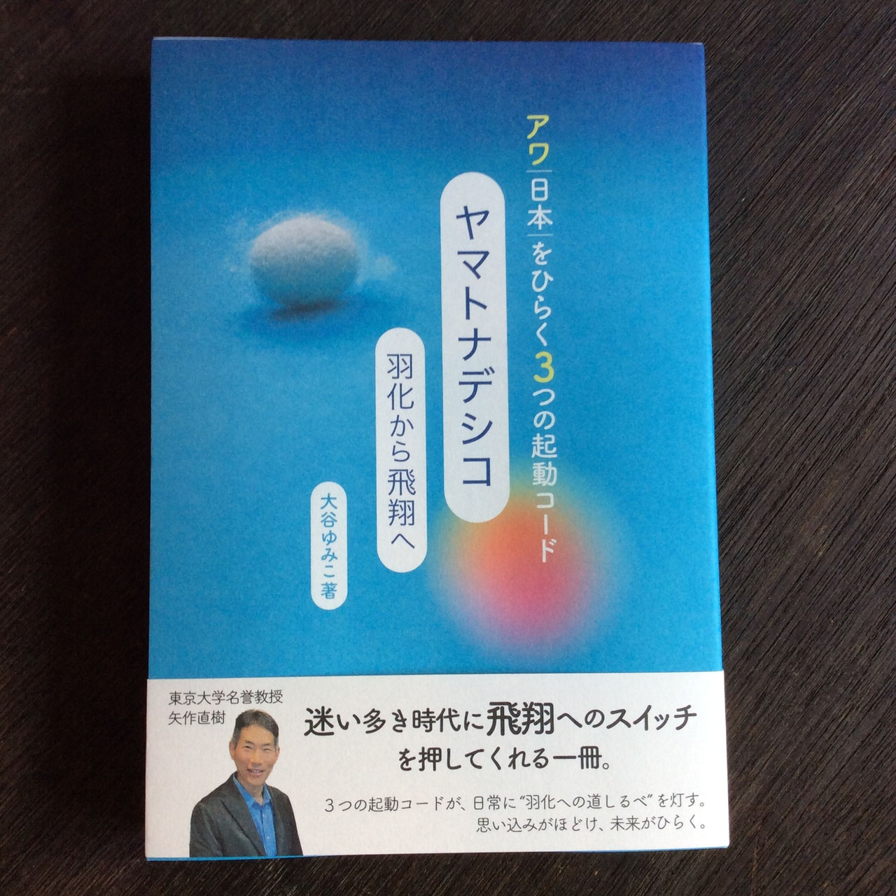 相似象学会の書籍販売について＞ - nawaprasad ページ！