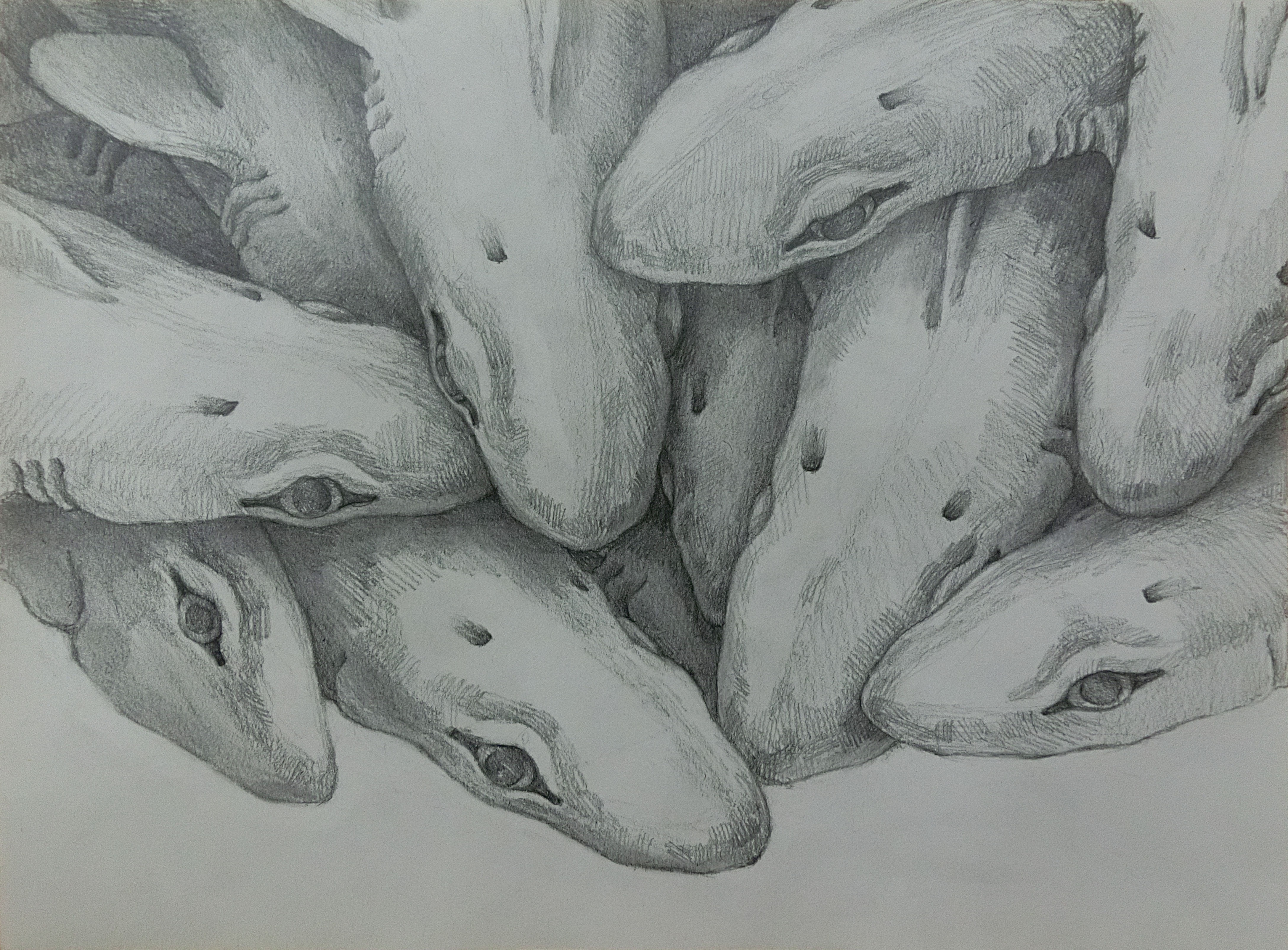 めぐる獣・辰』—四人展Vol.2（企画担当・新堀菜生） - 東京 九段 耀 画廊