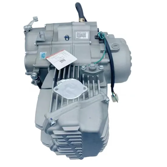 Zszp62yml-2 Vini 190cc Motor Zongshen W190 Horizontal Engine 190cc