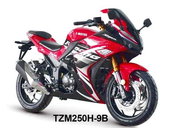 Racing Motorcycle, Original, Exclusive Agent, Rzm250h-9b
