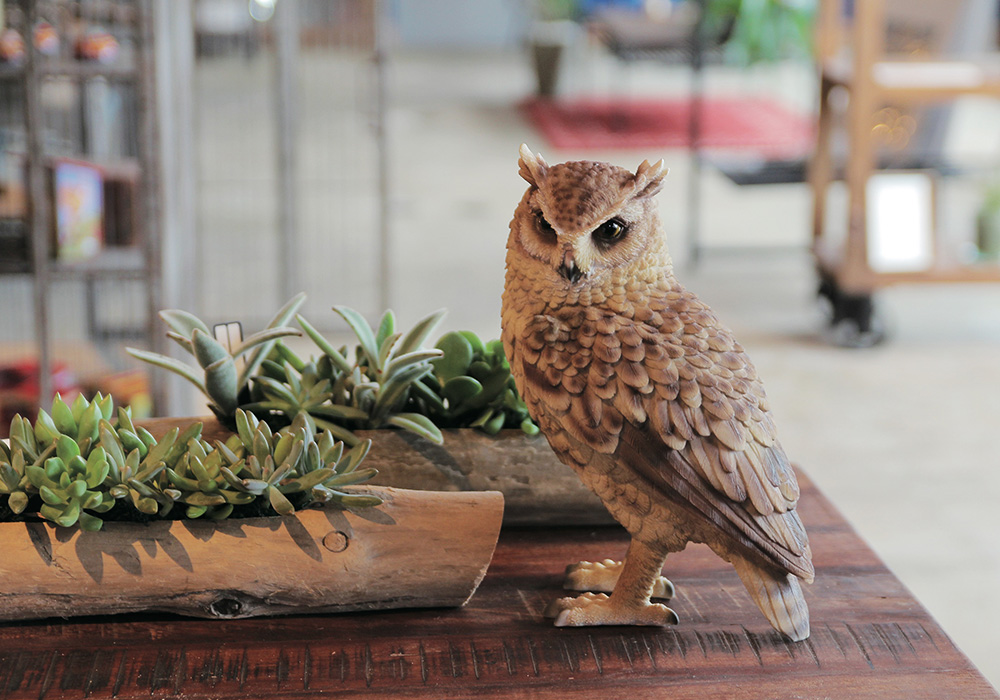 トラフズクのお役立ち貯金箱 PET BANK LONGEARED OWL（ペットバンク