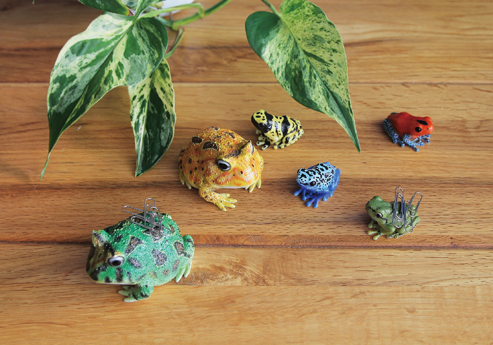 ベルツノガエルのリアルな生きもの造形マグネット REPTILES MAG HORNED