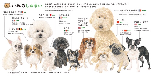 いぬのずかん – 丸善ジュンク堂書店ネットストア