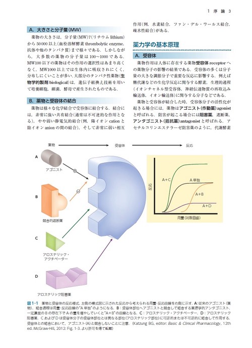 カッツング薬理学 エッセンシャル 原書12版 – 丸善ジュンク堂書店