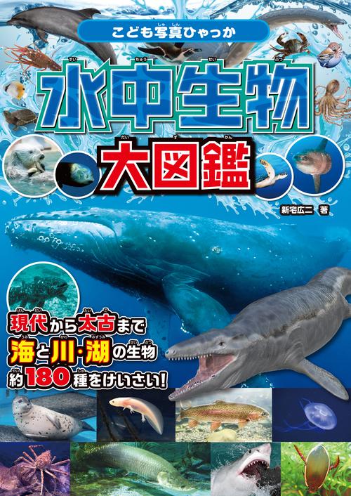 水中生物大図鑑 – 丸善ジュンク堂書店ネットストア