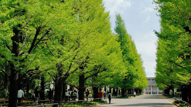 慶應義塾大学理工学部の情報（偏差値・口コミなど）| みんなの大学情報