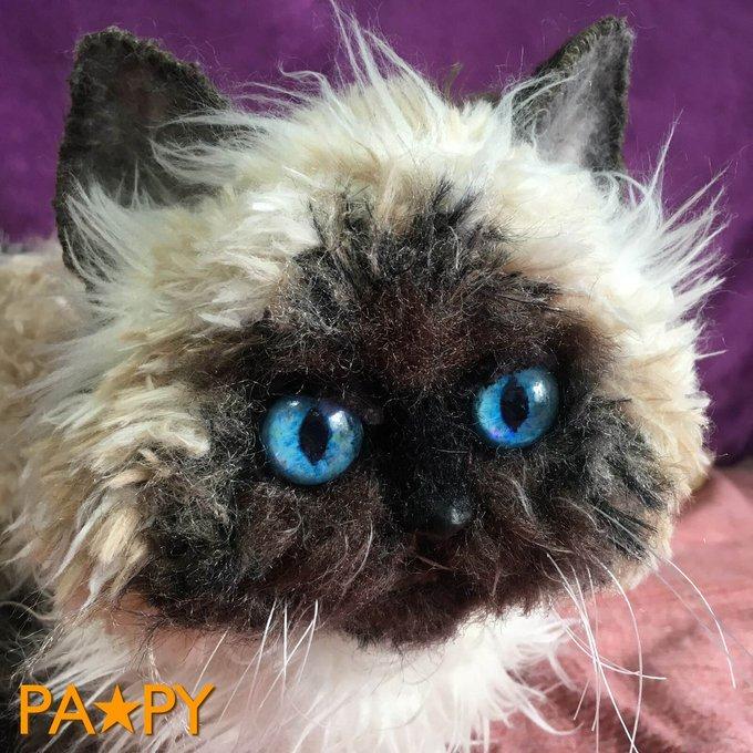 ヒマラヤンのギンちゃん♪ あみぐるみ - PA☆PY | minne byGMO