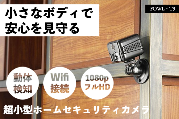 動体検知機能付き、異常が起きたらすぐわかる。超小型ホーム