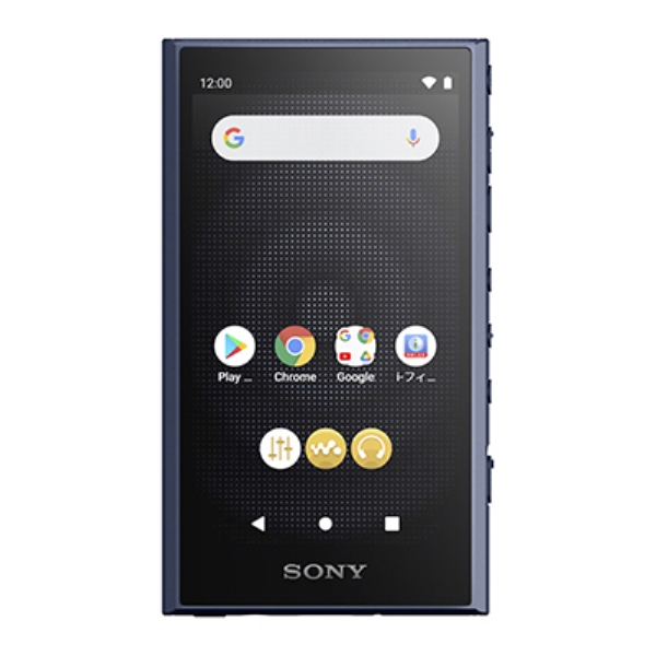 SONY ウォークマン A300シリーズ 32GB ブルー NW-A306/L - NTT-X Store