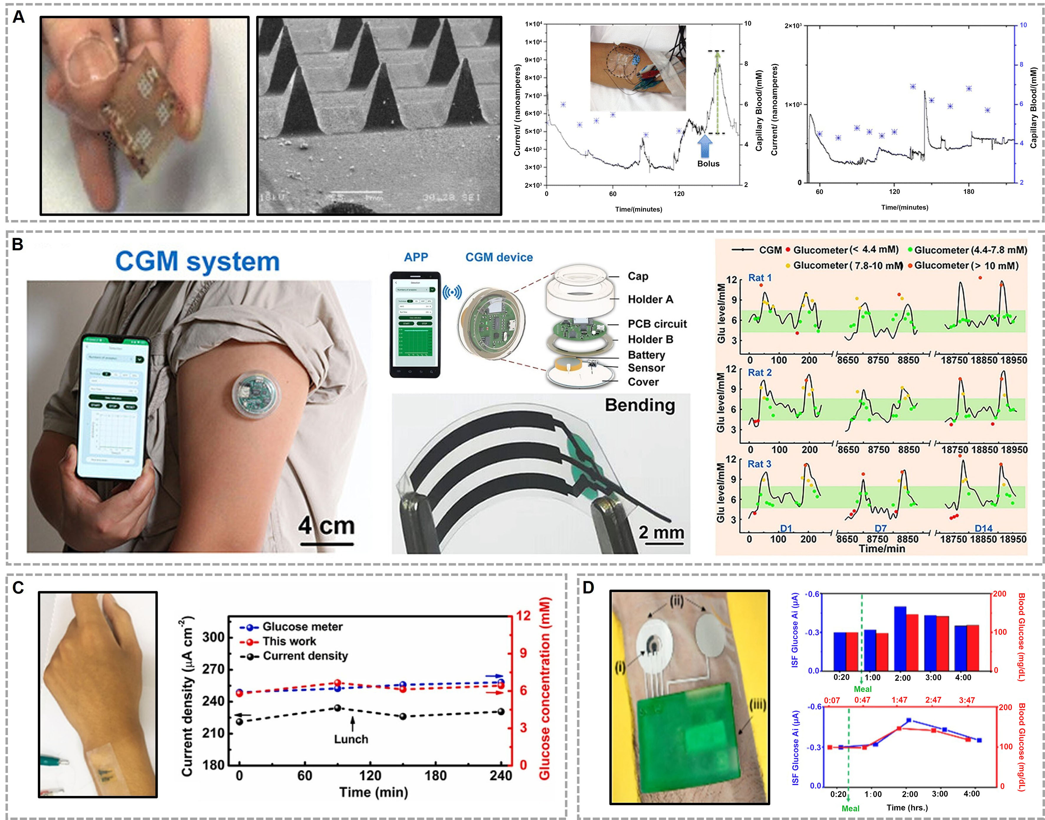 Wearable electrochemical sensors for real-time monitoring in