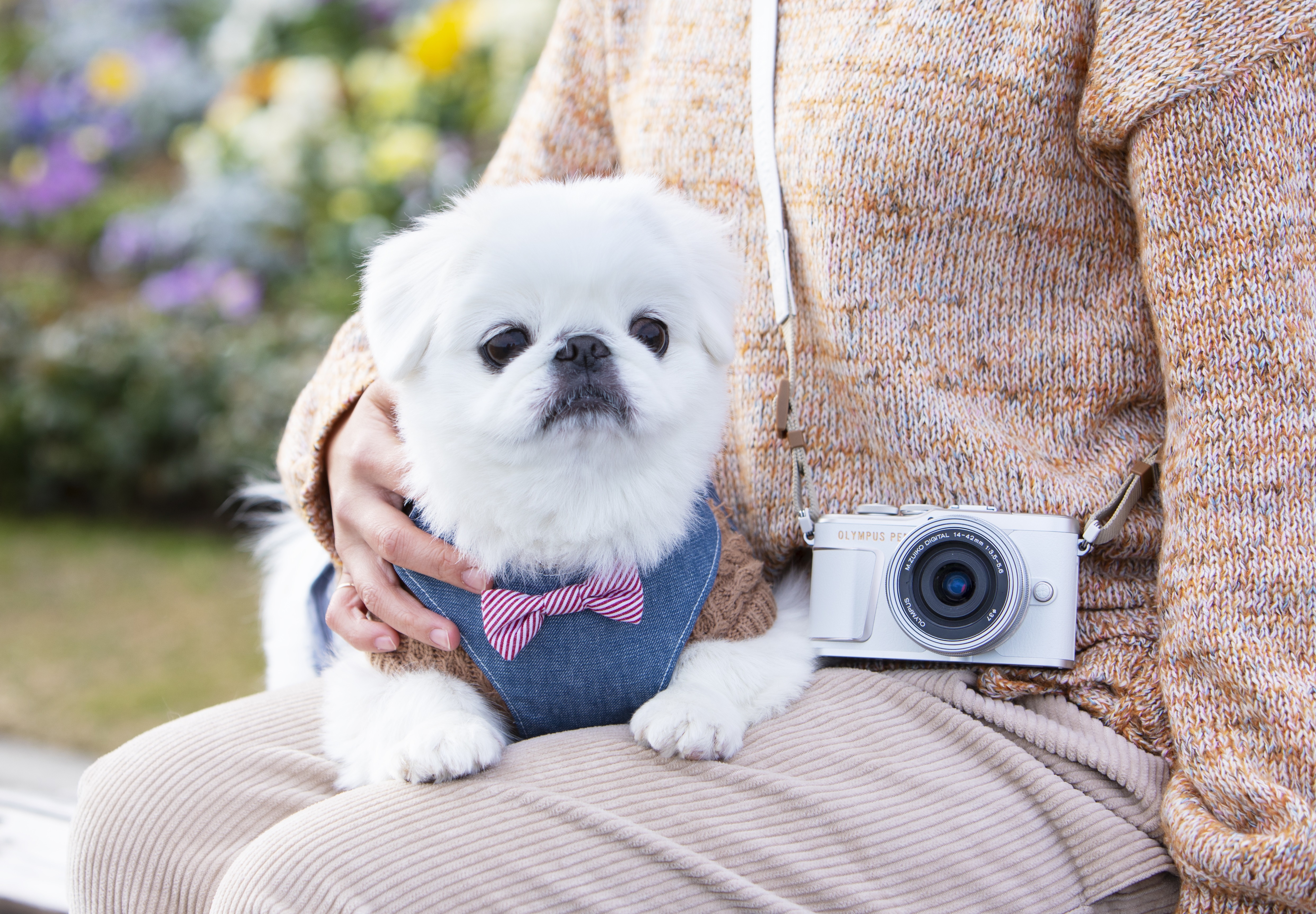 話題のミラーレス一眼カメラとともに、横浜の人気ドッグフレンドリー