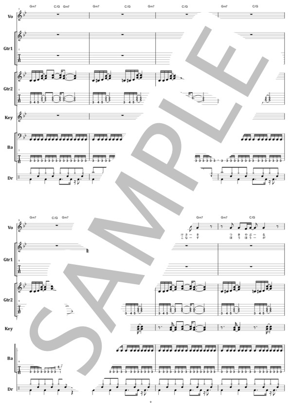 ☆絶版/未使用新古品/楽譜/柳ジョージ/E/タブ譜/バンドスコア ☆絶版