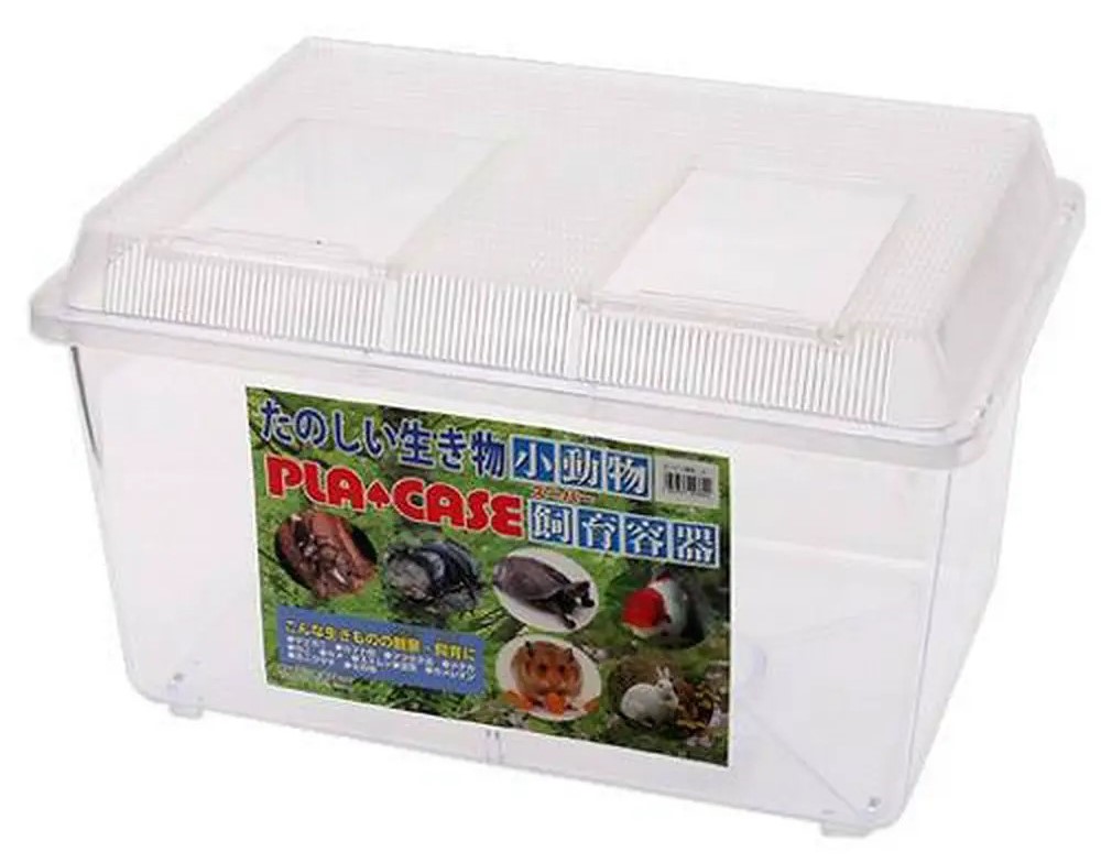 フタが透明なプラケース（特大 | ワイルドスカイ通販