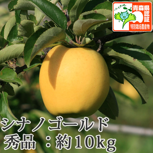 送料無料】青森県産りんご シナノゴールド 秀品 約10kg（28-40個入