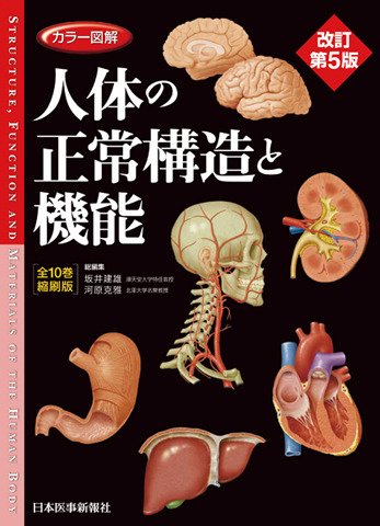 人体の正常構造と機能 全10巻縮刷版 | 神陵文庫