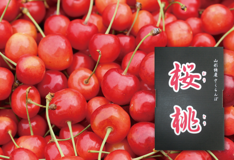 山形さくらんぼ通販】さくらんぼ｜佐藤錦Lサイズアップ700gバラ｜送料