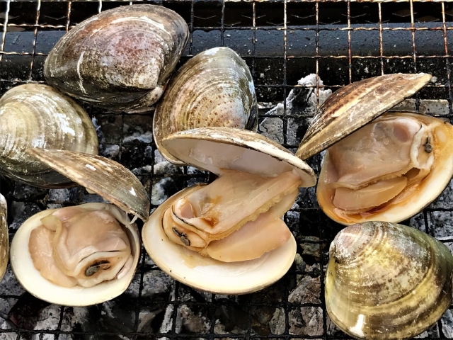 九十九里地はまぐり 1キロ | カネヨン水産ONLINE