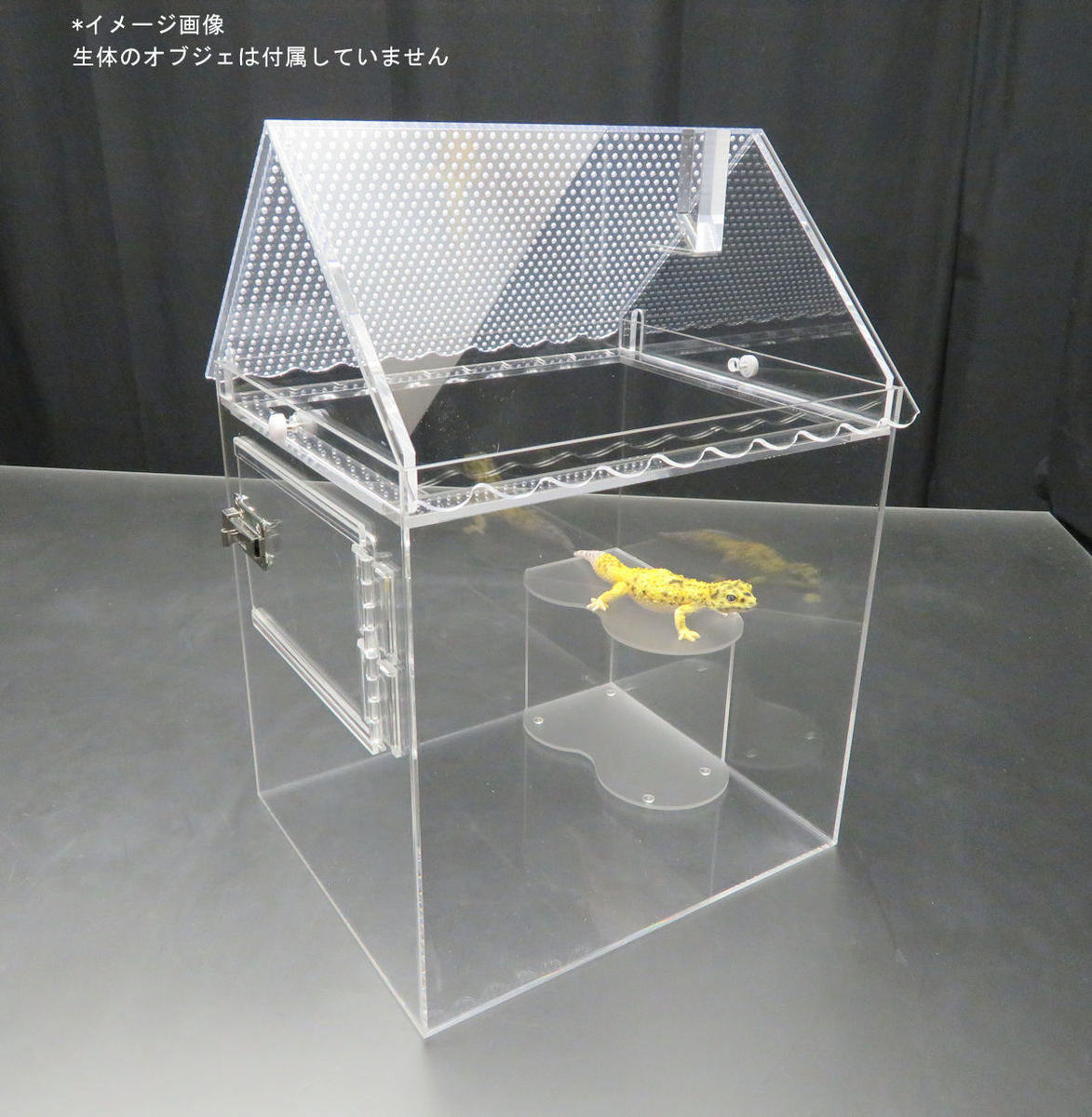 SMK OKA CAGE 爬虫類ケージ 450×300×300 防水 OKA CAGE】爬虫類ケージ