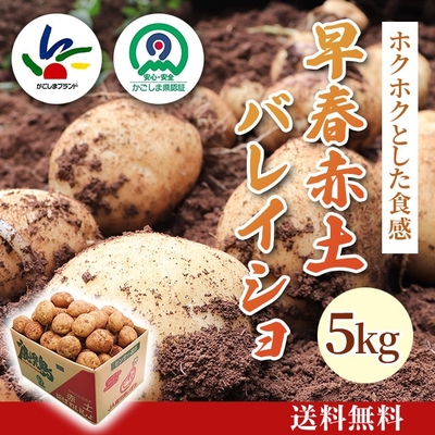 タケノコ 2kg [V-003] | JA鹿児島いずみショップ